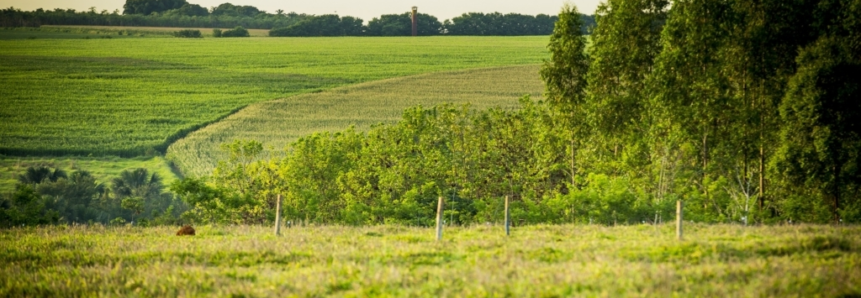 Alterações na lei sobre licenciamento ambiental beneficia produtores sergipanos