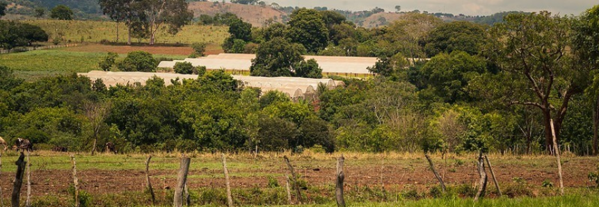 Faes inicia atendimento para Declaração do Imposto Territorial Rural