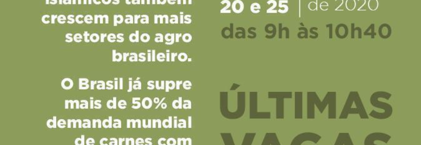 Interessados ainda podem se inscrever no curso online sobre Mundo Islâmico