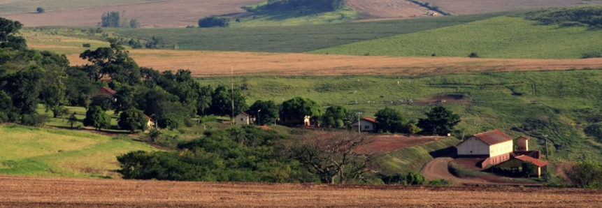 FAEP realiza treinamento sobre contratos de arrendamentos rurais