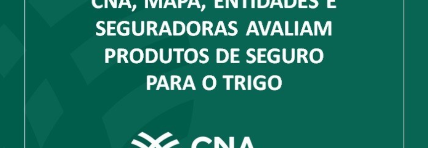 CNA, Mapa, entidades e seguradoras avaliam produtos de seguro para o trigo