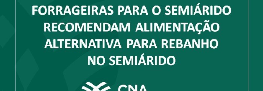 Resultados do projeto Forrageiras para o Semiárido recomendam alimentação alternativa para rebanho no semiárido