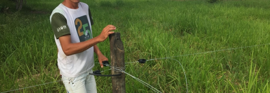 Com Assistência Técnica do Senar-MT produtor tem aumento de 240% na produção de leite