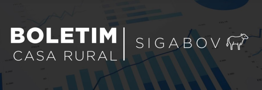 Famasul lança boletim com dados de inteligência e gestão territorial voltados a produtores da bovinocultura de corte