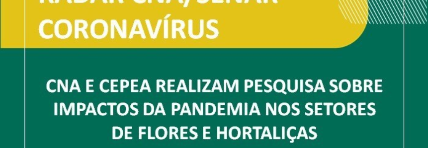 CNA e Cepea realizam pesquisa sobre impactos da pandemia nos setores de frutas e hortaliças