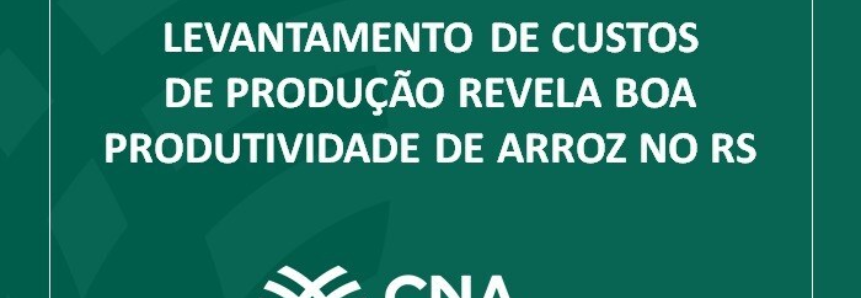 Levantamento de custos de produção revela boa produtividade de arroz no RS