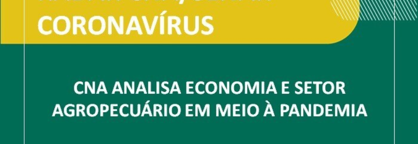 CNA analisa economia e setor agropecuário em meio à pandemia