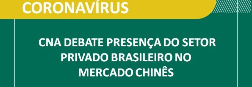 CNA debate presença do setor privado brasileiro no mercado chinês