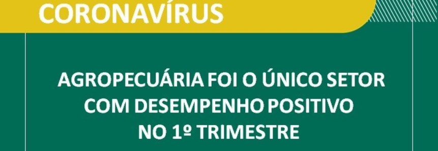 Agropecuária foi o único setor com desempenho positivo no 1º trimestre, diz CNA