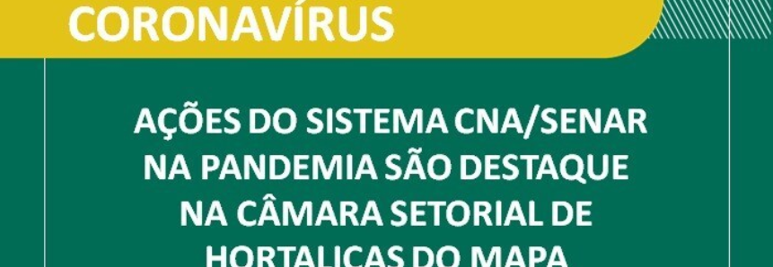 Ações do Sistema CNA/Senar na pandemia são destaque na Câmara Setorial de Hortaliças do Mapa