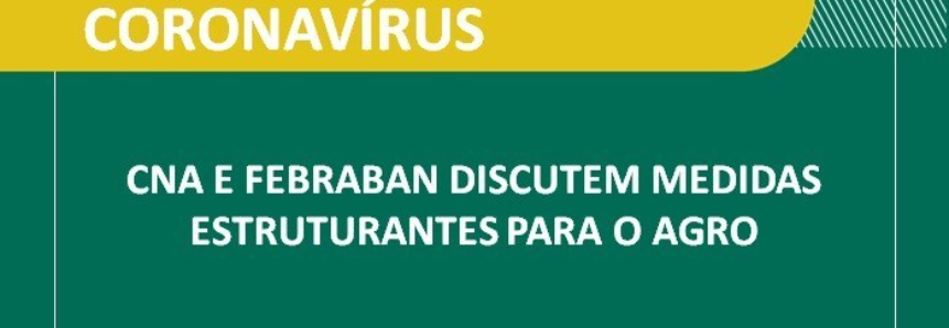 CNA e Febraban discutem medidas estruturantes para o agro