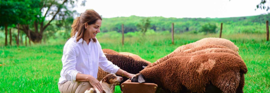 “Transformando Vidas”: mais do que aumentar a lucratividade, ovinocultura levou Izilda a superar uma severa depressão