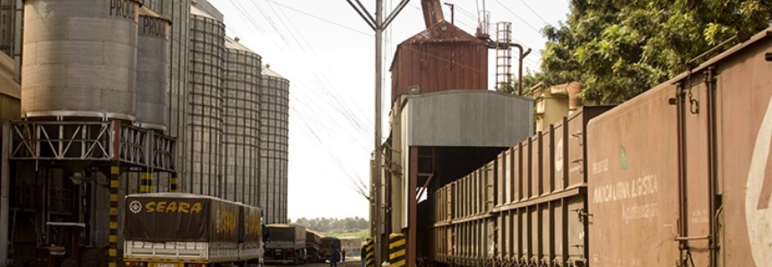 Três anos depois, produtores rurais ainda esperam para receber da Seara