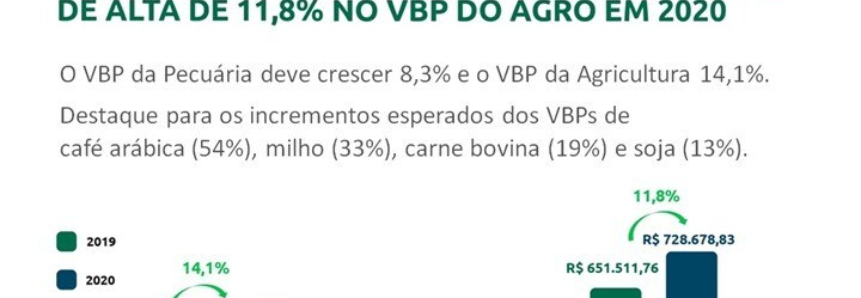 CNA prevê crescimento de 11,8% no Valor Bruto da Produção em 2020