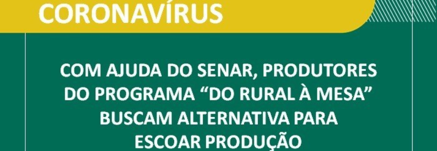 Com ajuda do Senar, produtores do programa “Do Rural à Mesa” buscam alternativa para escoar produção