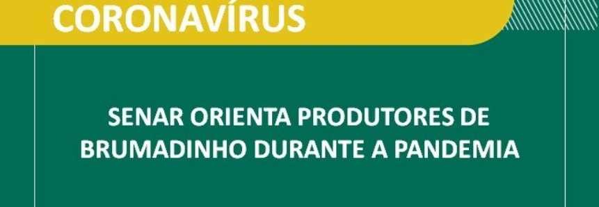 Senar orienta produtores de Brumadinho durante a pandemia