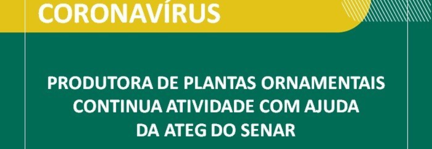 Produtora de plantas ornamentais continua atividade com ajuda da ATeG do Senar