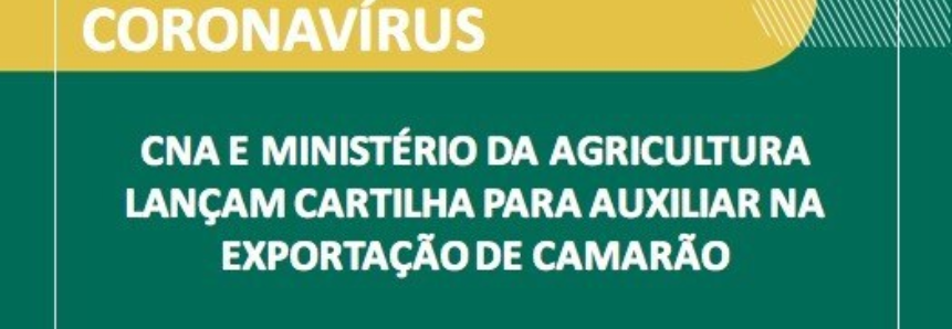 CNA e Ministério da Agricultura lançam cartilha para auxiliar na exportação de camarão