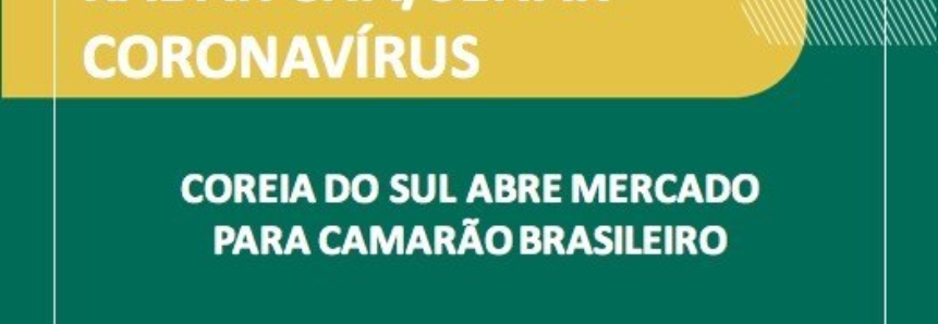 Brasil vai exportar camarão para Coreia do Sul