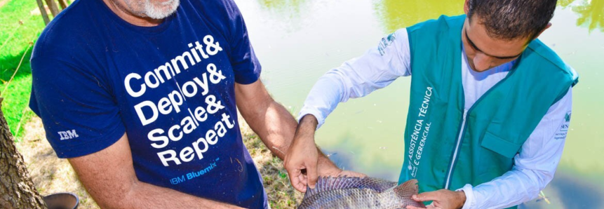 Semana Santa: produtores de peixes passam a comercializar cada vez mais com frescor e qualidade