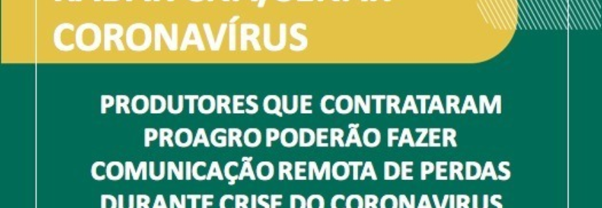 Produtores que contrataram Proagro poderão fazer comunicação remota de perdas durante crise do coronavirus