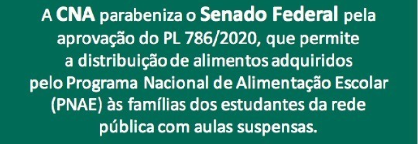 Senado aprova projeto que garante alimentação de alunos com aulas suspensas