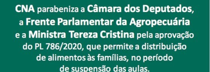 CNA defende proposta que garante alimentação de estudantes com aulas suspensas