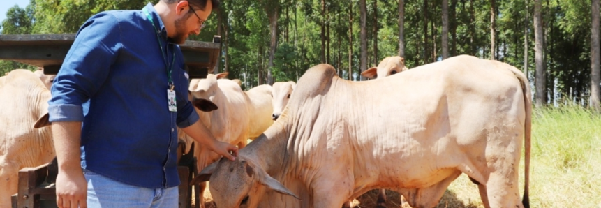 “Paisagens Rurais” vai levar orientações técnicas a produtores de MS e incentivar práticas sustentáveis no campo