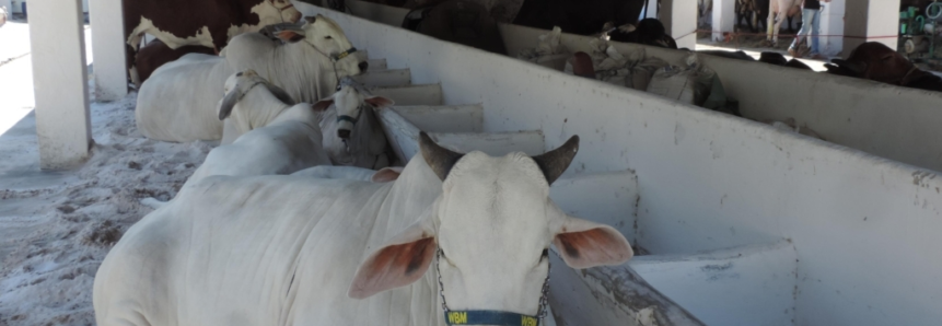 Feira Agropecuária de Sergipe acontece de 17 a 22 de março