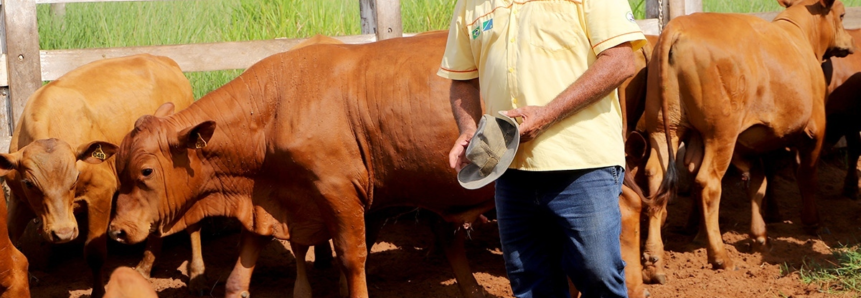 Senar/MS Transformando Vidas: com Assistência Técnica e Gerencial produtor de MS reforma pasto e triplica produção