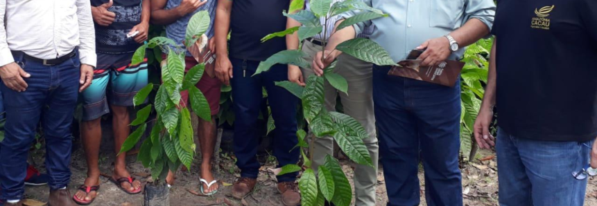 Sistema Faepa/Senar entrega mudas de cacau e açaí em Inhangapi