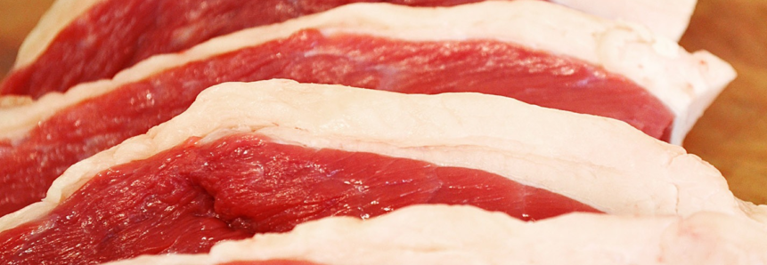 Produção de carne bovina em Mato Grosso do Sul aumenta 9,41% em 2019