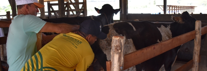 Produtores participam do curso de inseminação artificial