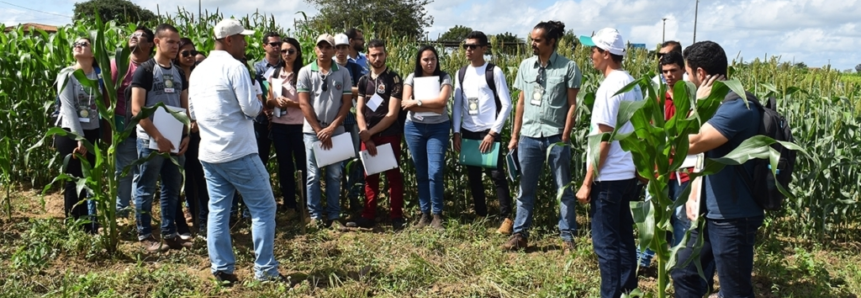 Alternativas de alimentação animal são apresentadas durante Dia de Campo