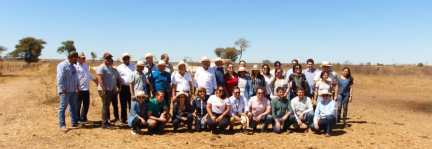 Delegação estrangeira visita fazenda de pecuária de corte