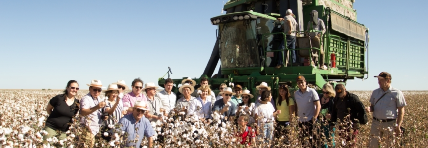 Tecnologia é diferencial da produção de grãos e fibras no oeste da Bahia