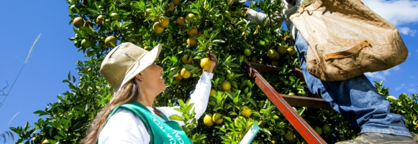 Gestão com foco em produtividade e lucro para propriedades rurais