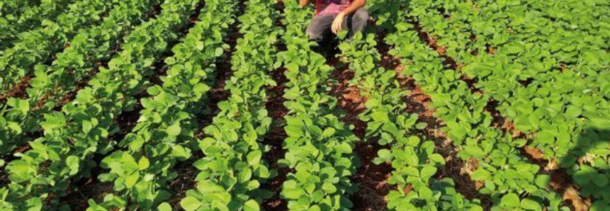 Gestor de fazenda leva mais de 50 cursos do SENAR-PR a propriedade rural