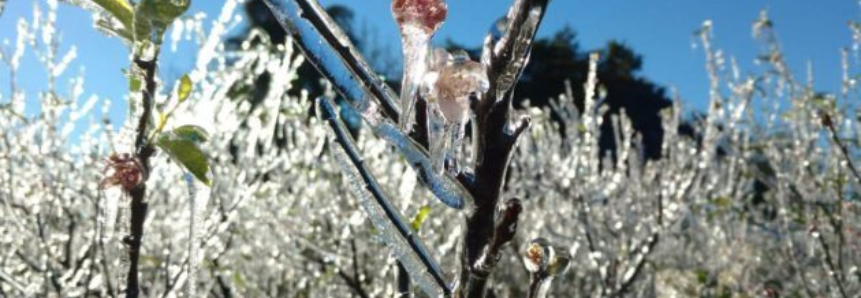 Onda de frio espalha prejuízos por diversas regiões do Paraná