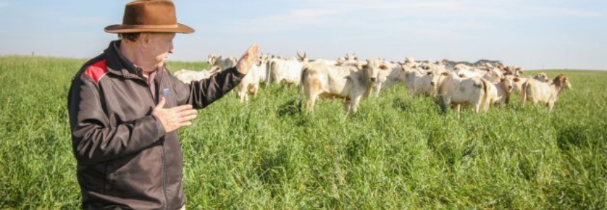 Agro impulsiona economia no campo e na cidade