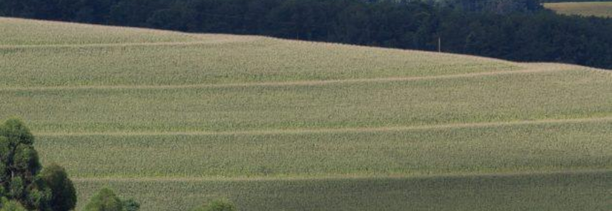 Manual reúne informações dos recursos naturais do Paraná