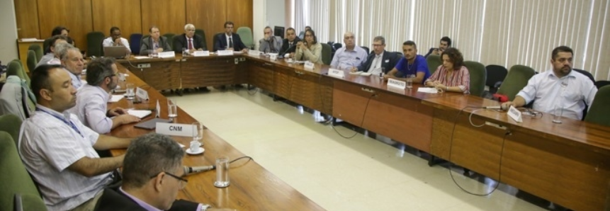 Grupo de Trabalho apresenta ações para evitar mortalidade das abelhas