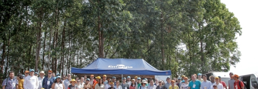 CNA e Embrapa realizam dia de campo e apresentam resultados do Projeto Biomas no Cerrado