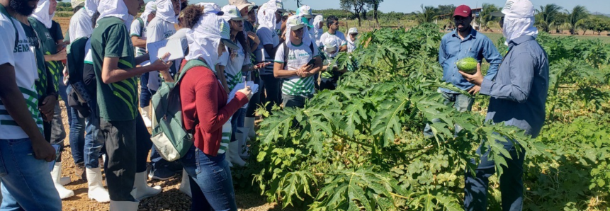 Alunos do Curso Técnico em Agronegócio da cidade de Juazeiro fazem visita a projeto de irrigação