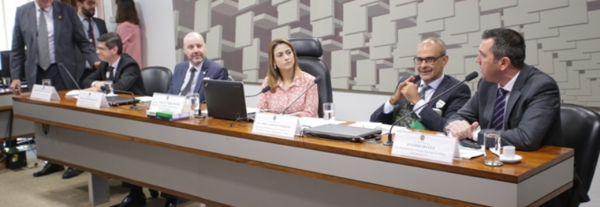 CNA apresenta propostas do Plano Agrícola e Pecuário no Senado