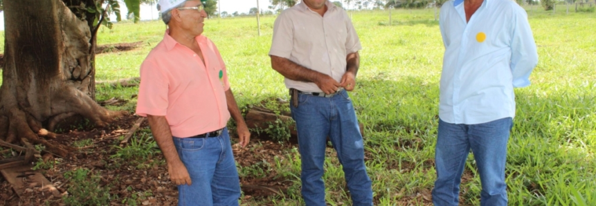 ATeG do Senar-MT transforma a vida de produtores de leite em Pontes e Lacerda