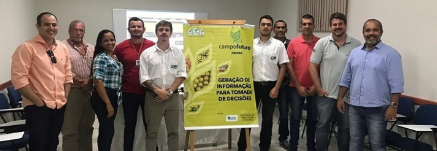 Gestão eficiente dos custos define renda do fruticultor do Vale do São Francisco