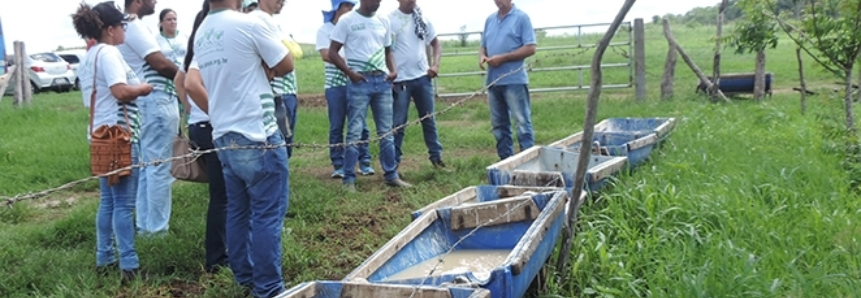 Alunos do curso Técnico em Agronegócio participam de visita sobre Assistência Técnica