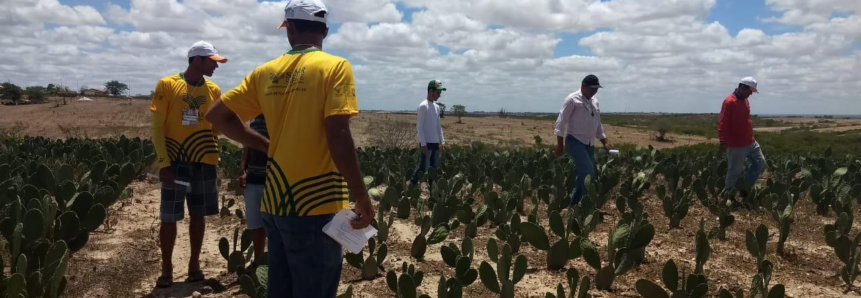 Produtores participam de treinamento sobre reserva alimentar para o semiárido