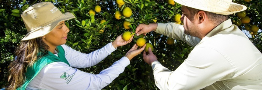 Senar abre processo seletivo para o curso Técnico em Fruticultura